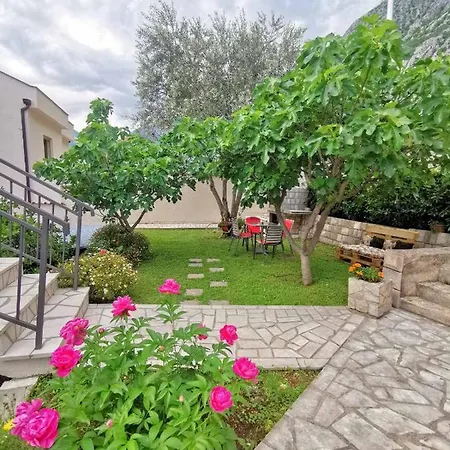 Apartments Andrea Kotor Exterior photo